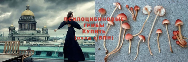 мет Баксан